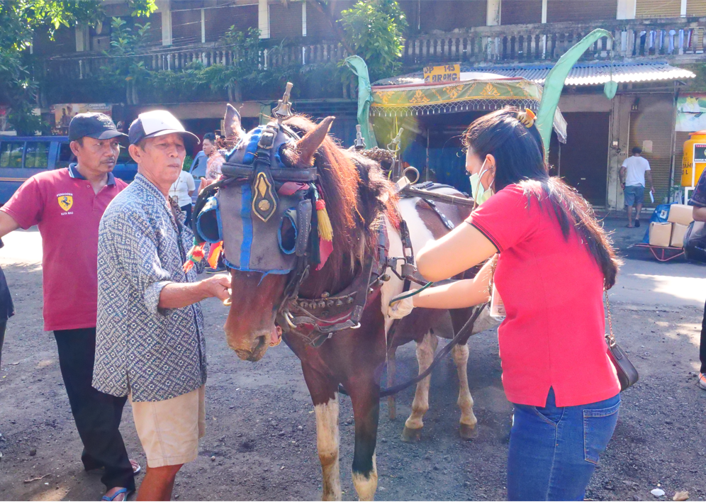 DOKAR HIAS CITY TOUR DINYATAKAN SEHAT UNTUK DIAJAK BERWISATA